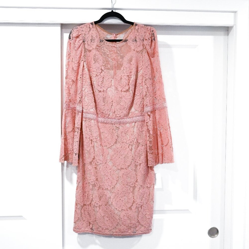 Tadashi Shoji Olivier Dress Lace Sheath Dress with Belle Sleeves Size 10 NWT